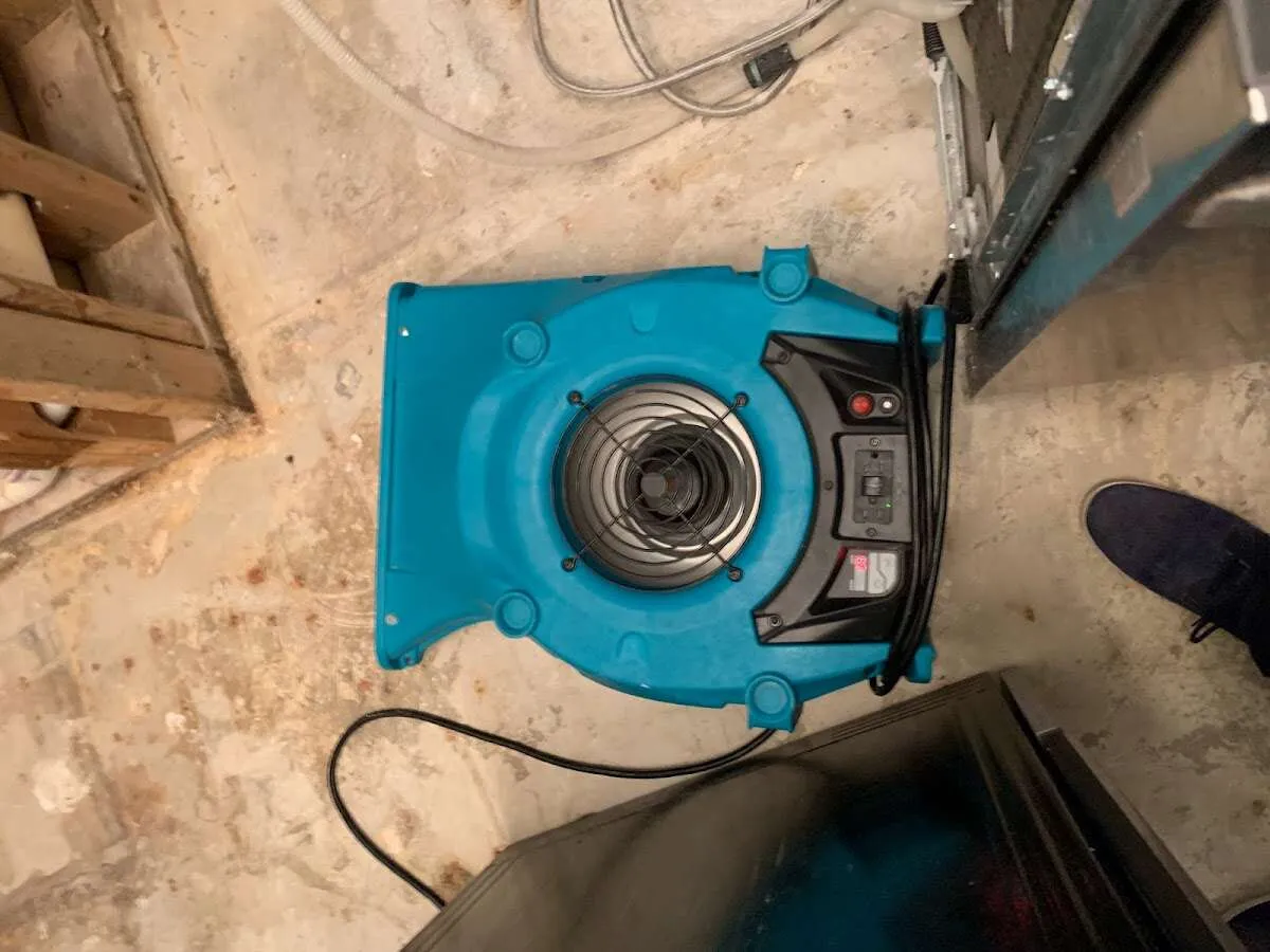 Air mover drying equipment for Mold Remediation & Removal in Penfield